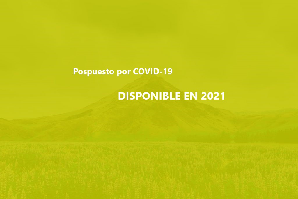 fondo parallax-1024x683 letero COVID-19