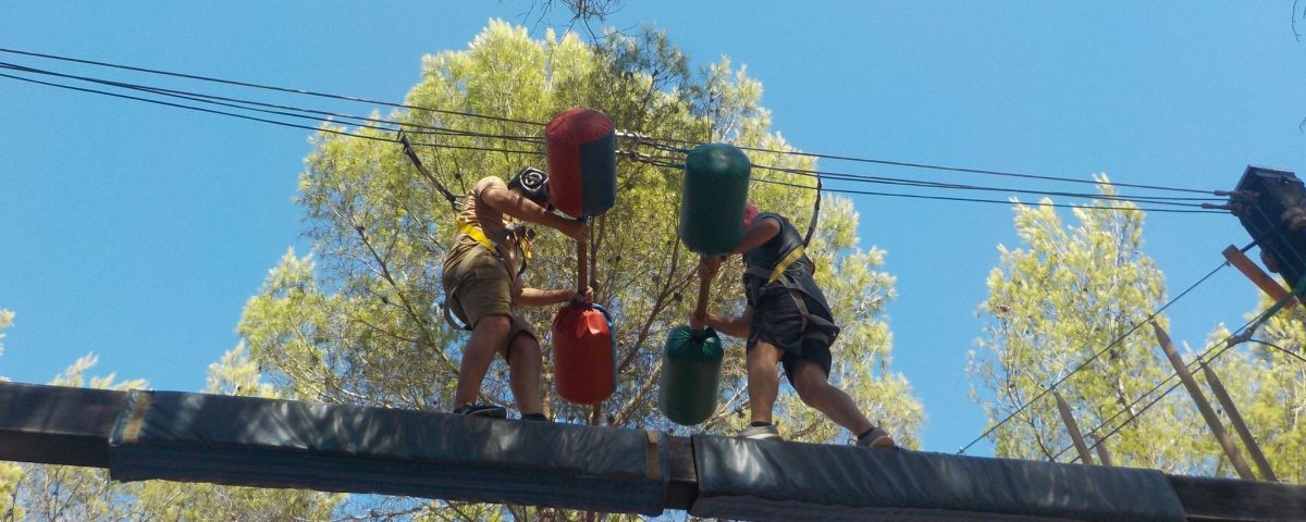 lucha sumo vs lucha amarilla